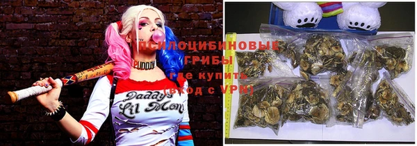 мдпв Балахна