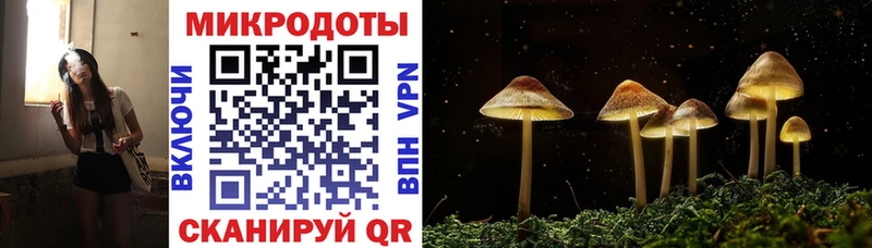 Псилоцибиновые грибы Cubensis  Валуйки 
